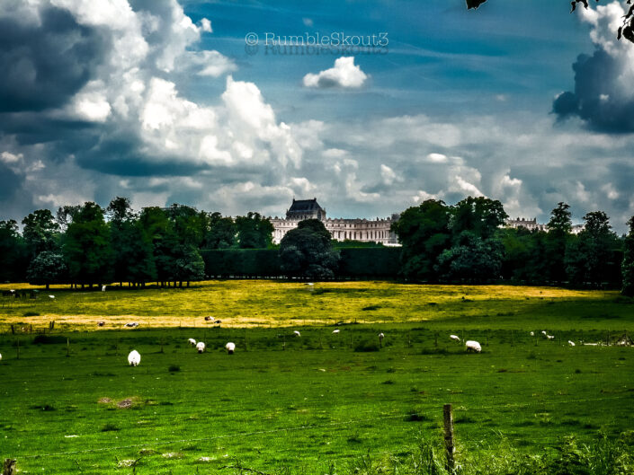 Looking Back @ historic french architecture from the Versailles Gardens, framed by cumulus thunderclouds, wild french grass and sheep. (Jules Hardouin-Mansart) (Louis Le Vau) (herd of sheep)