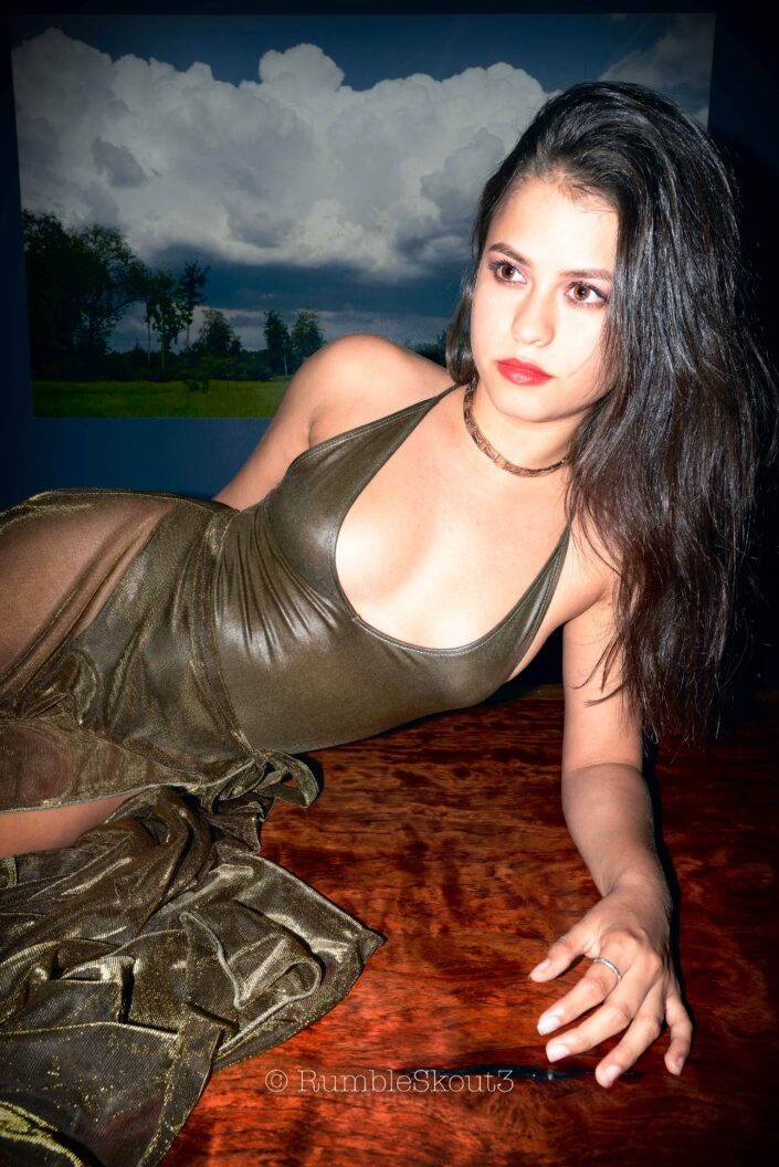 An American woman portrait of a Tigresa Bae, Liquid Rosewood VI, on a Bubinga (Rosewood) Solid Wood Slab, with amber eyes, in a bodysuit sheer dress in West Hollywood.