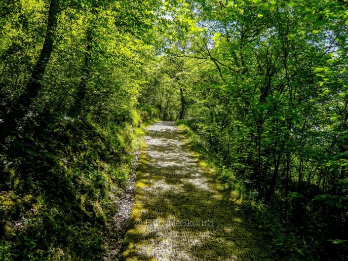 A gorgeous, beautiful hiking trail to Grotte de Font de Gaume, of the first Children of Ilúvatar, Elves, at (Les Eyzies-de-Tayac-Sireuil) (Dordogne Valley) South of France (Le Midi). Entering Rivendell