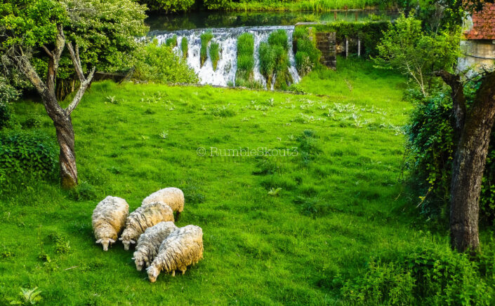 What a backyard! A waterfall, herd of sheep and an energy vortex tree all paved over in evergreen grass, in Les Eyzies-de-Tayac-Sireuil. Snow White's Backyard (Dordogne Valley) South of France (Le Midi)
